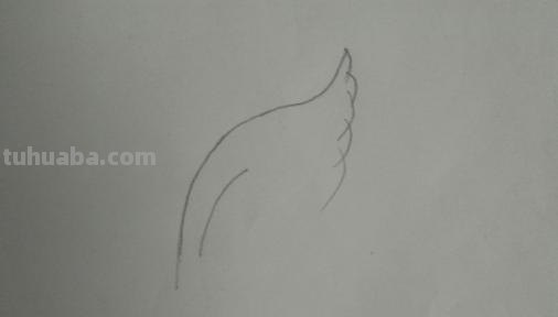 翅膀怎么画简笔画 翅膀,简笔画,步骤教程? 翅膀怎么画简笔画 翅膀,简笔画,步骤教程?