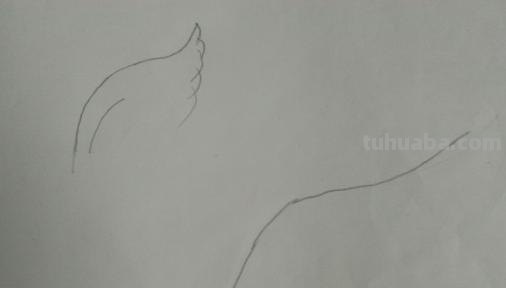 翅膀怎么画简笔画 翅膀,简笔画,步骤教程? 翅膀怎么画简笔画 翅膀,简笔画,步骤教程?