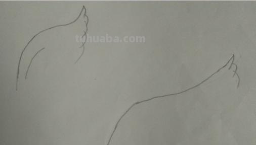 翅膀怎么画简笔画 翅膀,简笔画,步骤教程? 翅膀怎么画简笔画 翅膀,简笔画,步骤教程?