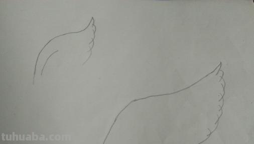 翅膀怎么画简笔画 翅膀,简笔画,步骤教程? 翅膀怎么画简笔画 翅膀,简笔画,步骤教程?