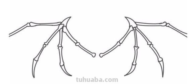 翅膀怎么画简笔画 翅膀,简笔画,步骤教程? 翅膀怎么画简笔画 翅膀,简笔画,步骤教程?