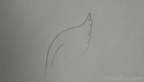 翅膀怎么画简笔画 翅膀,简笔画,步骤教程? 翅膀怎么画简笔画 翅膀,简笔画,步骤教程?