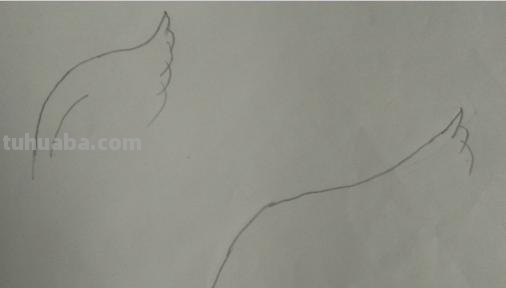 翅膀怎么画简笔画 翅膀,简笔画,步骤教程? 翅膀怎么画简笔画 翅膀,简笔画,步骤教程?