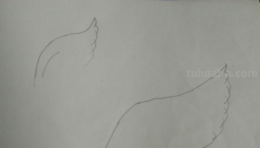 翅膀怎么画简笔画 翅膀,简笔画,步骤教程? 翅膀怎么画简笔画 翅膀,简笔画,步骤教程?