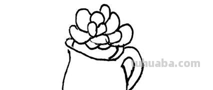 多肉植物有哪些简笔画 多肉植物有哪些简笔画