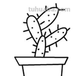 多肉植物,简笔画怎么画 多肉植物,简笔画怎么画