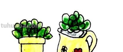 多肉植物有哪些简笔画 多肉植物有哪些简笔画