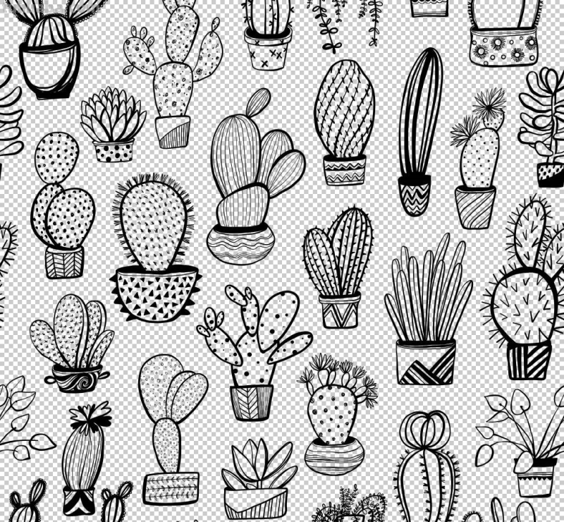 多肉植物有哪些简笔画 多肉植物有哪些简笔画