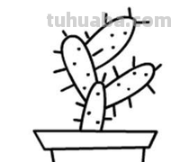 多肉植物有哪些简笔画 多肉植物有哪些简笔画