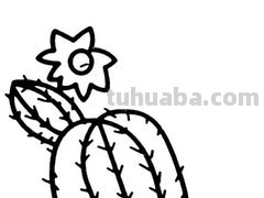 多肉植物有哪些简笔画 多肉植物有哪些简笔画