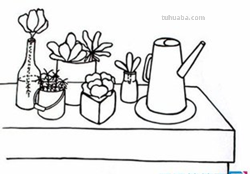 多肉植物有哪些简笔画 多肉植物有哪些简笔画