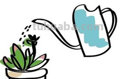 多肉植物有哪些简笔画 多肉植物有哪些简笔画