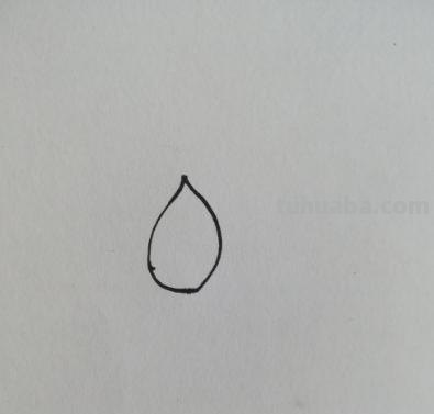 睡莲怎么画简笔画 简笔画荷花的步骤? 睡莲怎么画简笔画 简笔画荷花的步骤?