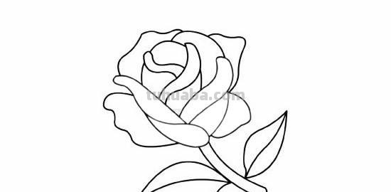 玫瑰花简笔画的方法 玫瑰花简笔画的方法怎么画