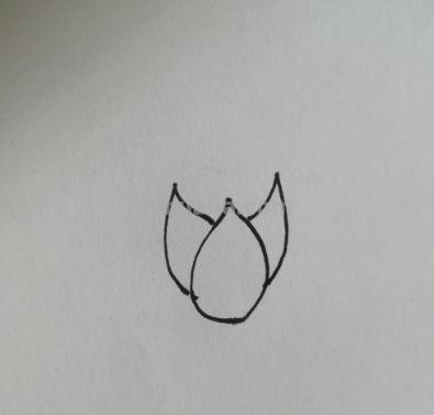 睡莲怎么画简笔画 简笔画荷花的步骤? 睡莲怎么画简笔画 简笔画荷花的步骤?