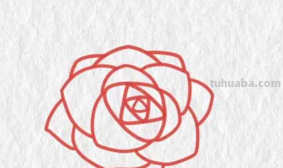 玫瑰花简笔画步骤 玫瑰花简笔画步骤