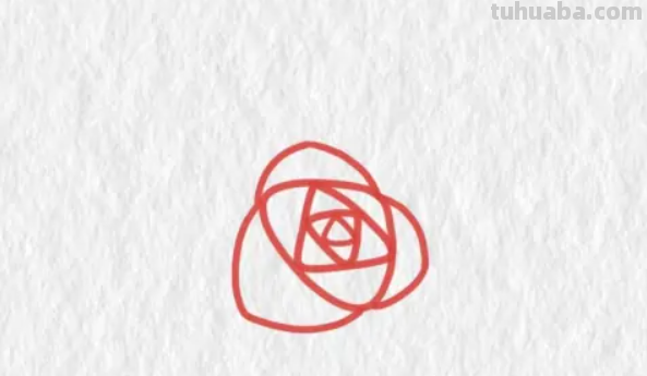 玫瑰花简笔画步骤 玫瑰花简笔画步骤