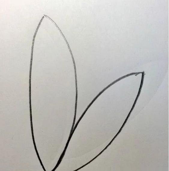 睡莲怎么画简笔画 简笔画荷花的步骤? 睡莲怎么画简笔画 简笔画荷花的步骤?