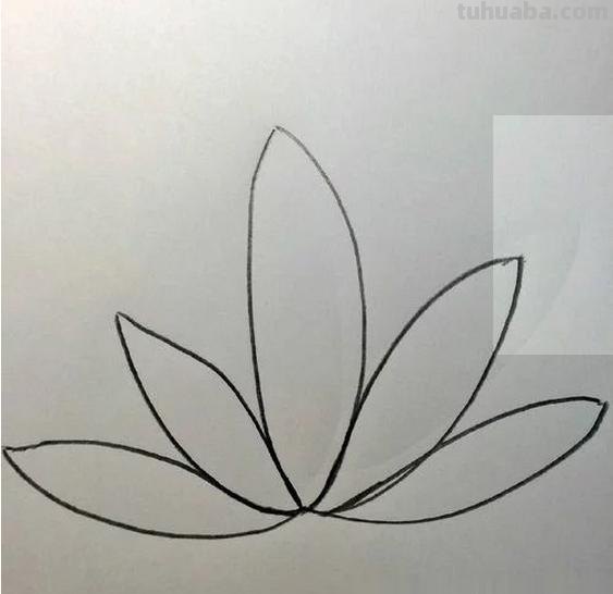 睡莲怎么画简笔画 简笔画荷花的步骤? 睡莲怎么画简笔画 简笔画荷花的步骤?