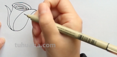 玫瑰花的简笔画怎么画最好看又简单 玫瑰花的简笔画怎么画最好看又简单