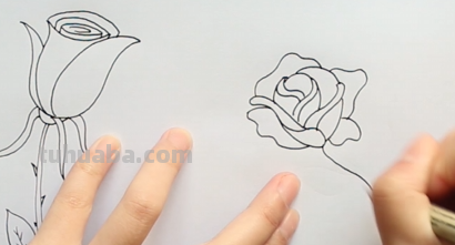 玫瑰花的简笔画怎么画最好看又简单 玫瑰花的简笔画怎么画最好看又简单