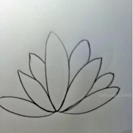 睡莲怎么画简笔画 简笔画荷花的步骤? 睡莲怎么画简笔画 简笔画荷花的步骤?