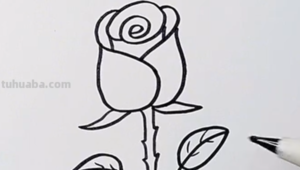 玫瑰的简笔画怎么画 玫瑰的简笔画怎么画