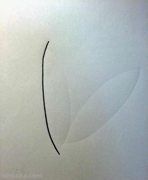 睡莲怎么画简笔画 简笔画荷花的步骤? 睡莲怎么画简笔画 简笔画荷花的步骤?