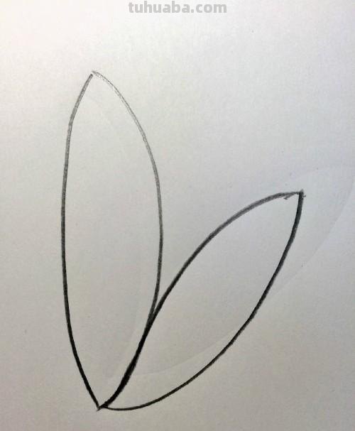 睡莲怎么画简笔画 简笔画荷花的步骤? 睡莲怎么画简笔画 简笔画荷花的步骤?