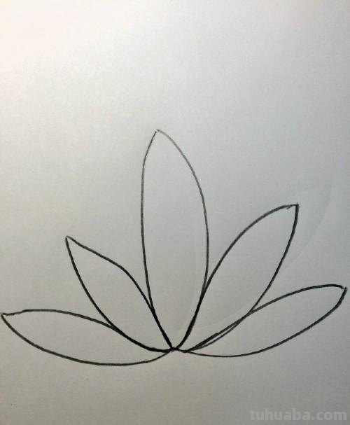 睡莲怎么画简笔画 简笔画荷花的步骤? 睡莲怎么画简笔画 简笔画荷花的步骤?