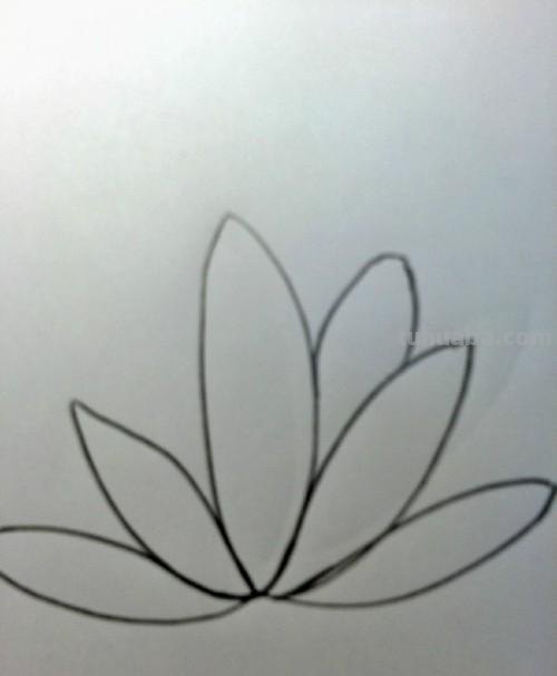 睡莲怎么画简笔画 简笔画荷花的步骤? 睡莲怎么画简笔画 简笔画荷花的步骤?