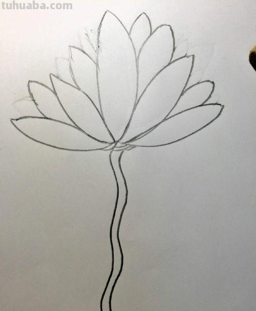 睡莲怎么画简笔画 简笔画荷花的步骤? 睡莲怎么画简笔画 简笔画荷花的步骤?