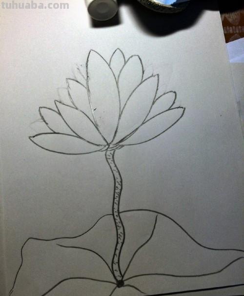 睡莲怎么画简笔画 简笔画荷花的步骤? 睡莲怎么画简笔画 简笔画荷花的步骤?