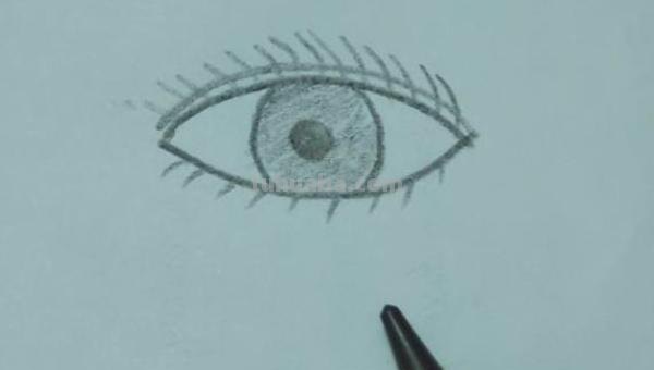 简笔画眼睛怎么画 眼睛的简笔画教程? 简笔画眼睛怎么画 眼睛的简笔画教程?