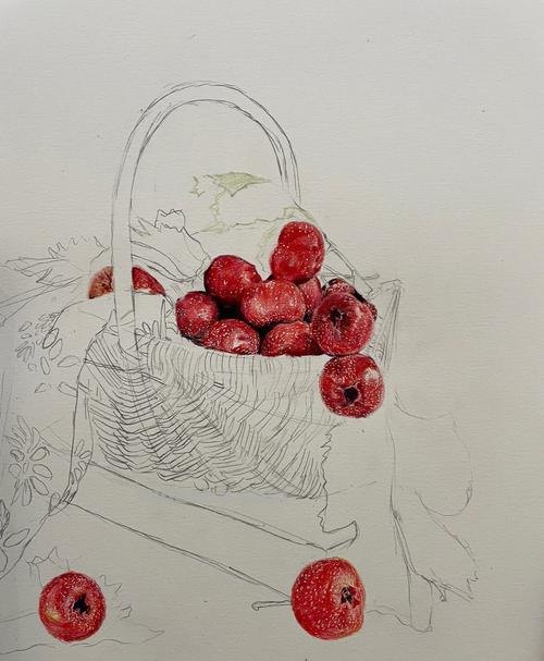 山楂怎么画用彩铅 彩铅画的最简单的水果?
