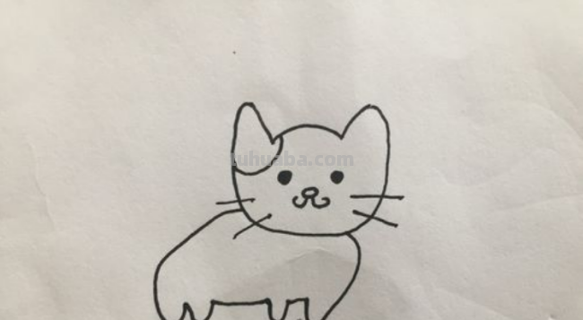 小猫简笔画怎么画 小猫简笔画怎么画