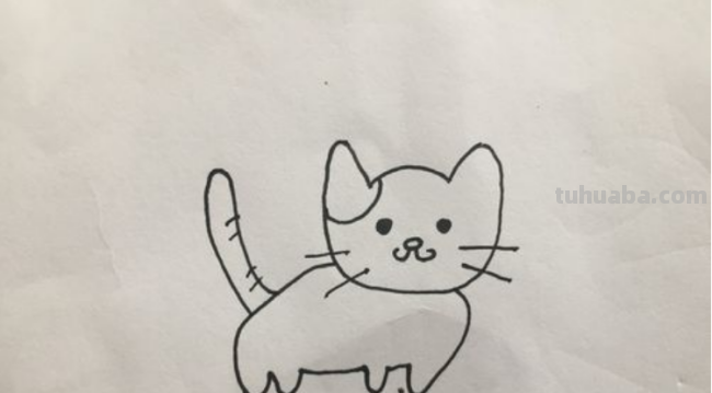 小猫简笔画怎么画 小猫简笔画怎么画