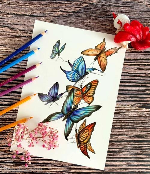 彩铅素描怎么画蝴蝶 用彩铅把蝴蝶上色什么颜色搭配最好？