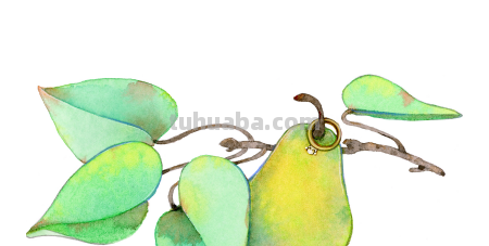 梨怎么画简笔画图片