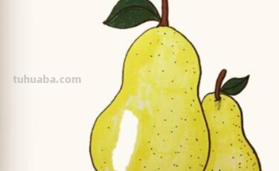 梨怎么画简笔画图片