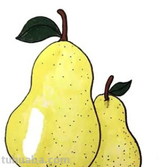如何画一个梨子