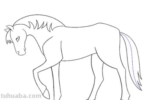 简笔画马怎么画 如何简笔画一匹马?