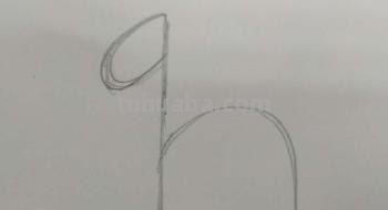 简笔画马怎么画 如何简笔画一匹马? 简笔画马怎么画 如何简笔画一匹马?