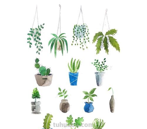 100种植物手帐小插画，临摹学习的好素材