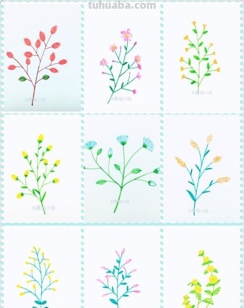 100种植物手帐小插画，临摹学习的好素材
