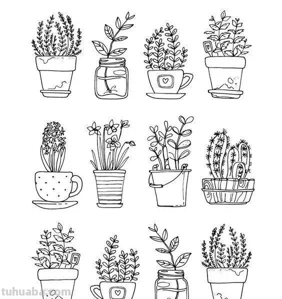 100种植物手帐小插画，临摹学习的好素材
