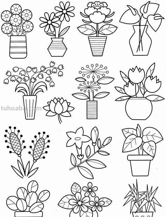 100种植物手帐小插画，临摹学习的好素材