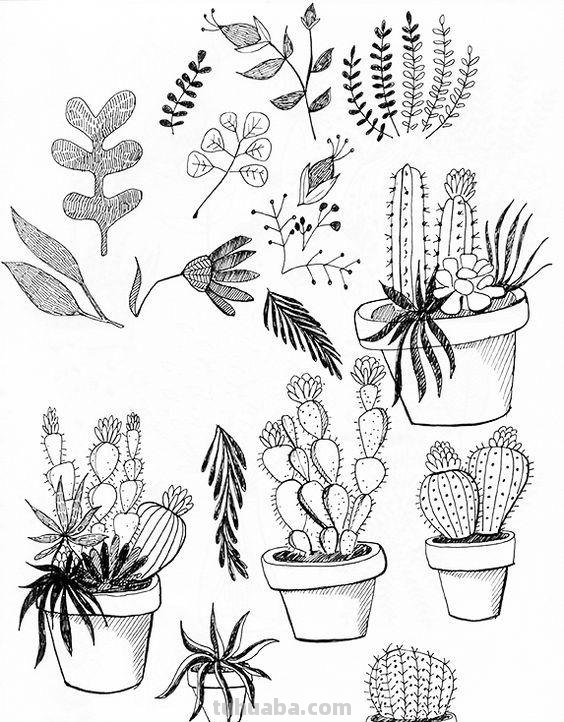 100种植物手帐小插画，临摹学习的好素材