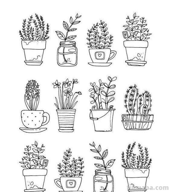 100种植物手帐小插画，临摹学习的好素材