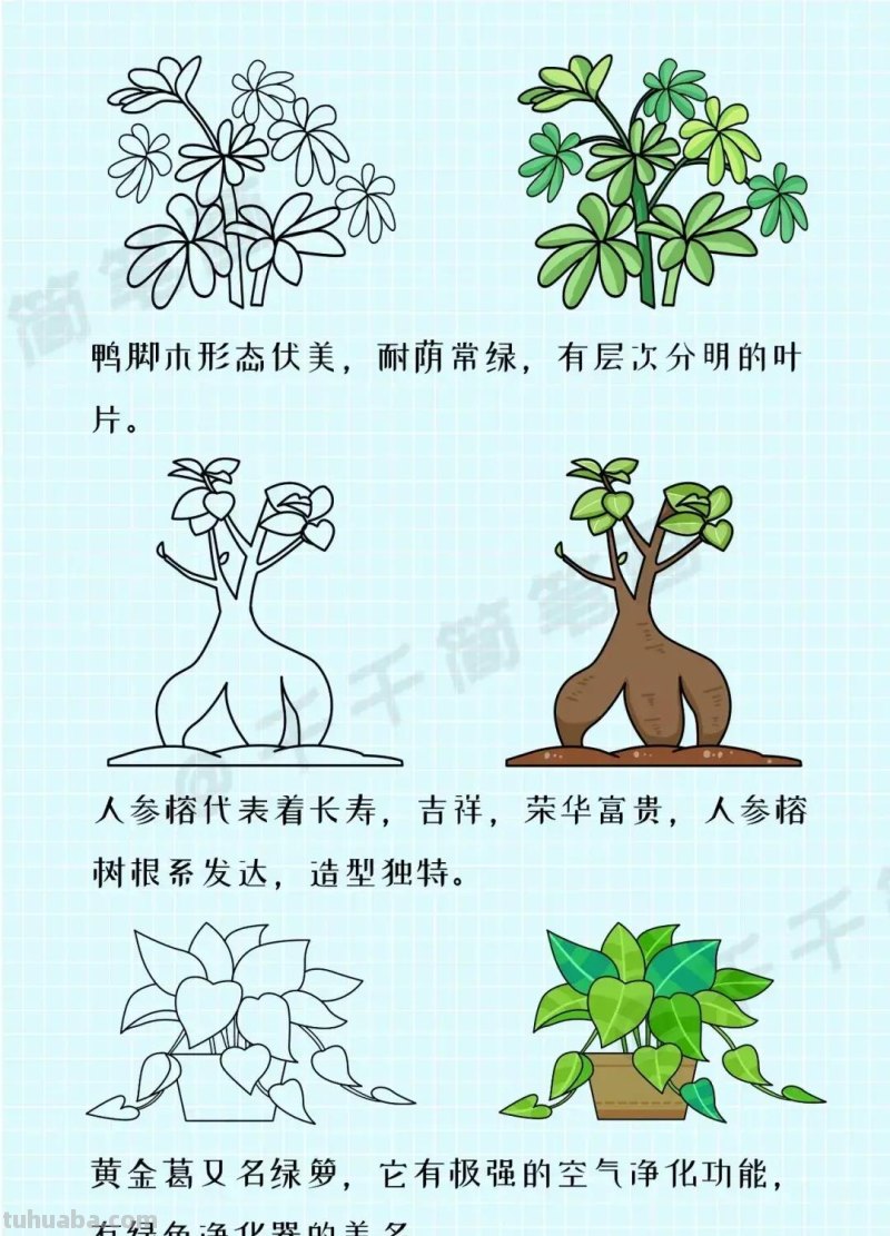 各种植物简笔画大全，小可爱们快来领走吧